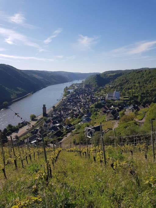 Wohnen Am Schoenen Mittelrhein Weltkulturerbe オーバーヴェセル エクステリア 写真